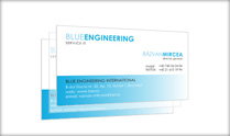 Blue Engineering International